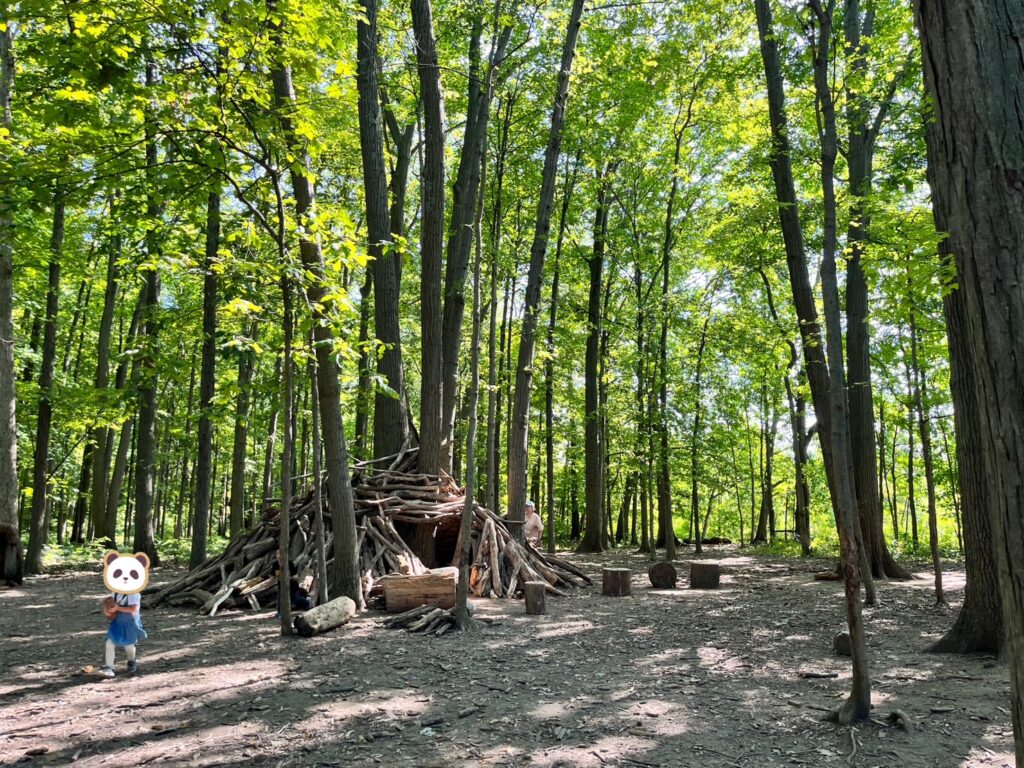 オハイオにある公園の林の中の遊び場を撮影した写真