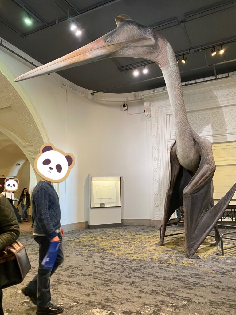 フィールド自然史博物館の飛竜の展示を撮影した写真